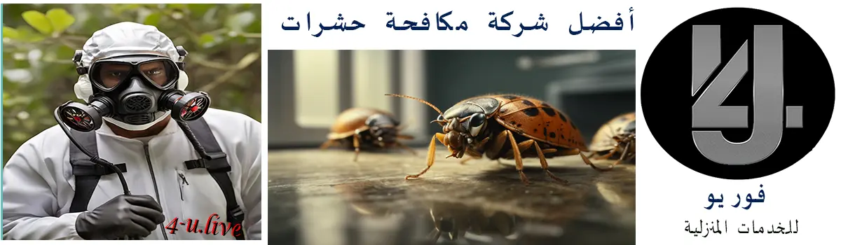 شركة مكافحة حشرات في كفر الزيات - الغربية 01007437872 خصم 60%